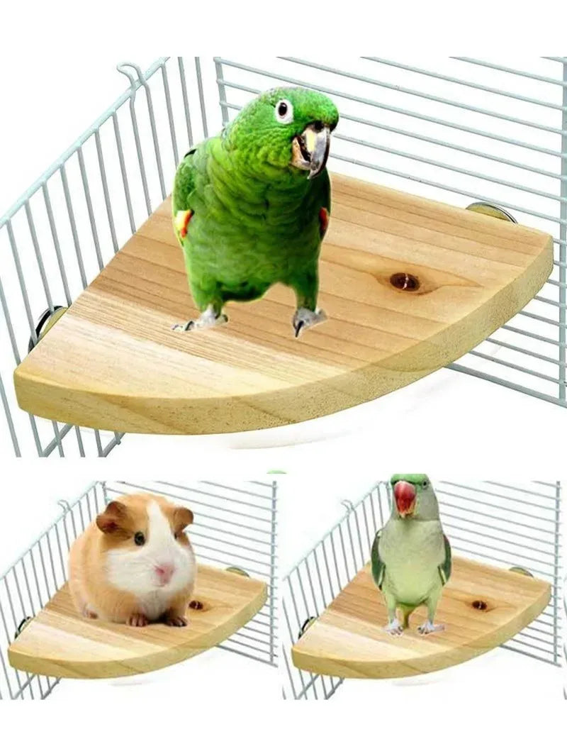 A natural wood parrot perch stand holding a green parrot and a white guinea pig.