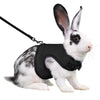Un lapin blanc portant un ensemble de harnais et de laisse pour animaux noir réglable.
