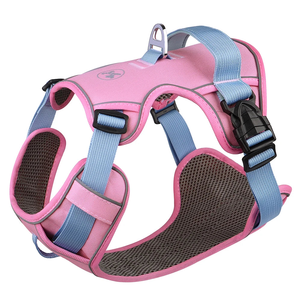 Arnés transpirable de malla rosa para perro con correas azules y hebillas negras