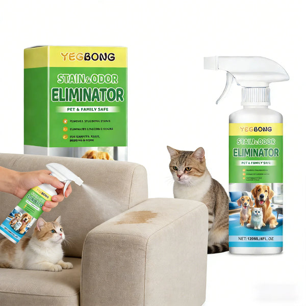 A bottle of YEGBONG Stain & Odor Eliminator spray next to a cat and a person's hand.