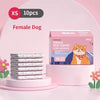 A box of disposable female dog diapers is displayed next to stacks of the diapers on a pink surface.