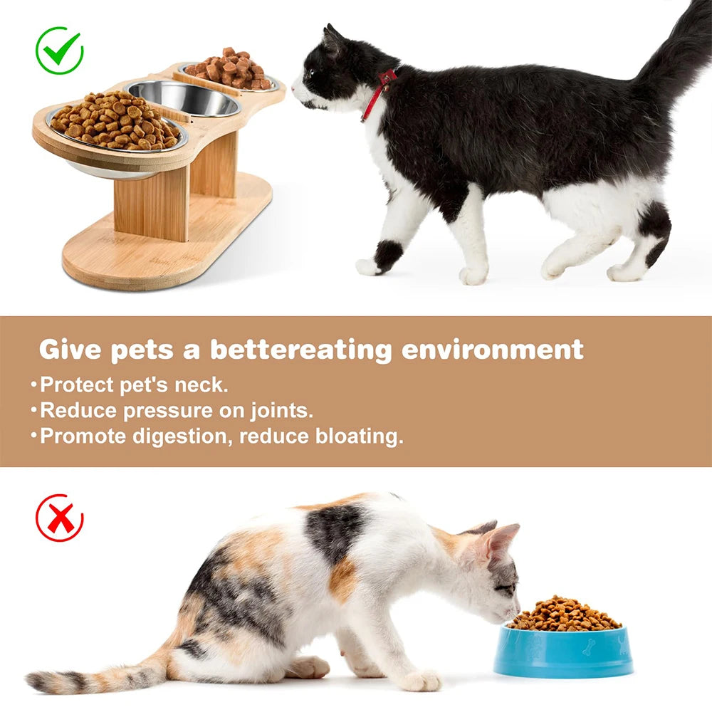 Un chat noir et blanc à côté d'un distributeur automatique pour animaux avec trois bols en acier inoxydable.