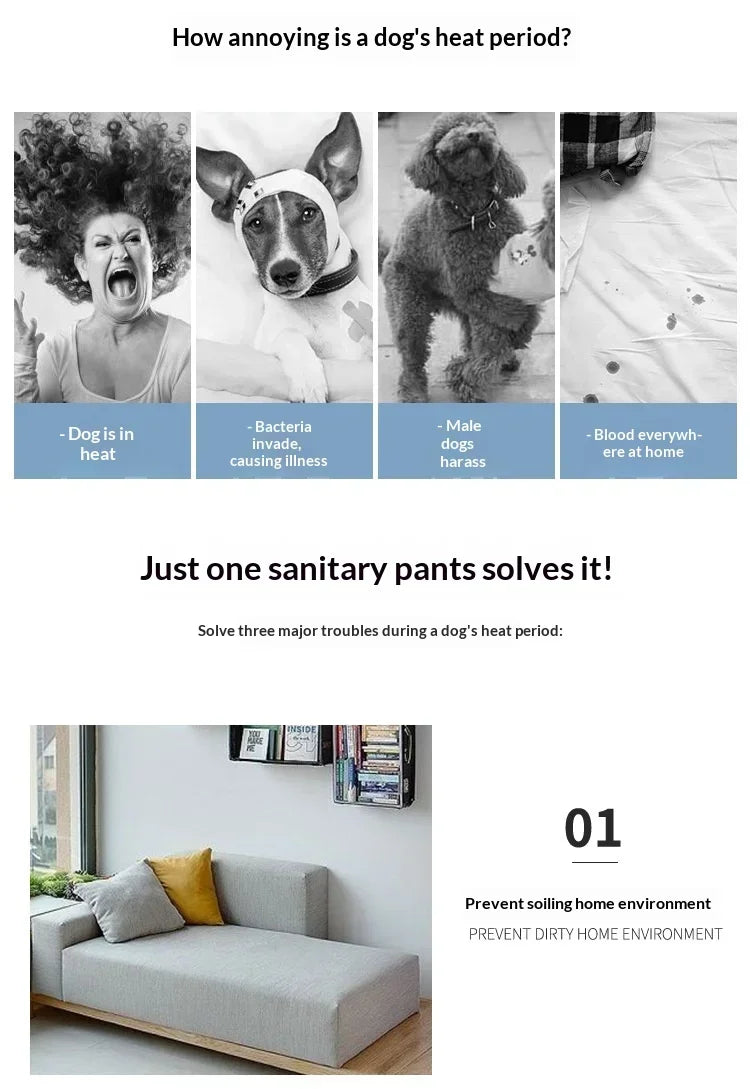 Reusable Dog Diapers for Heat Cycles and Incontinence