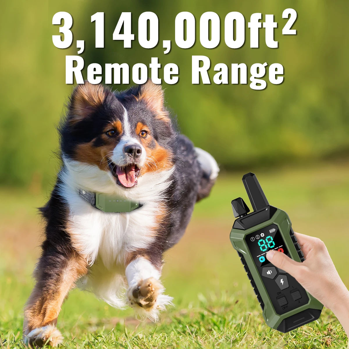 A brown and white dog is running in a grassy field while a hand holds a green remote control training collar.