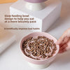 Ceramic Elevated Cat Bowl with Slow Feeder Design