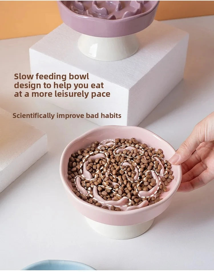 Ceramic Elevated Cat Bowl with Slow Feeder Design