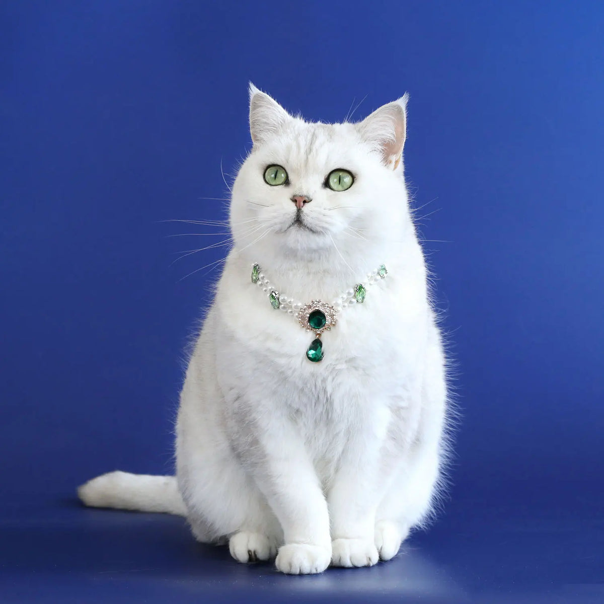 A white cat wearing a sparkling green gemstone pearl collar.
