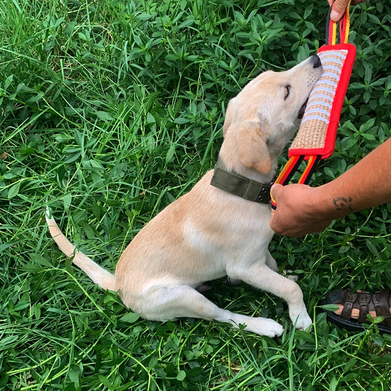 A light-colored dog is holding a red jute tug of war toy with a textured handle in a grassy outdoor setting.