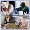 Custom Name Plaid Cotton Dog Bandana