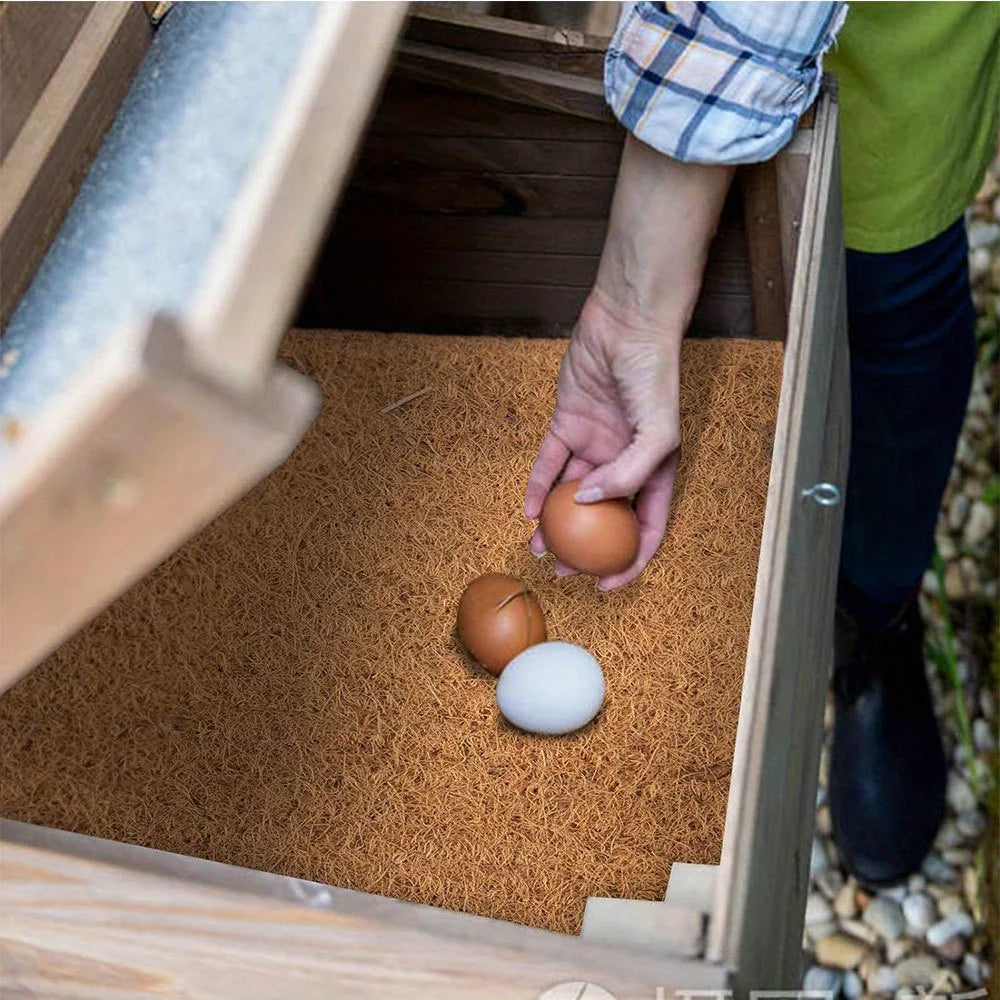 Eine Hand legt ein Ei in ein Nest aus Kokosfaserdämmmaterial in eine Holzkiste.