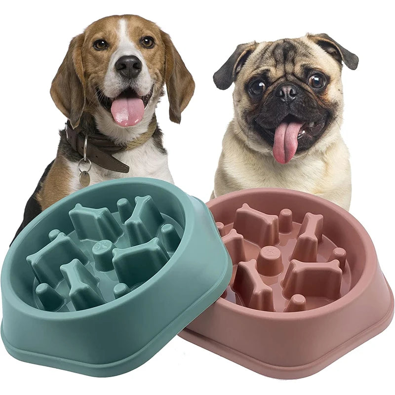 Cuenco Slow Feeder para Perros