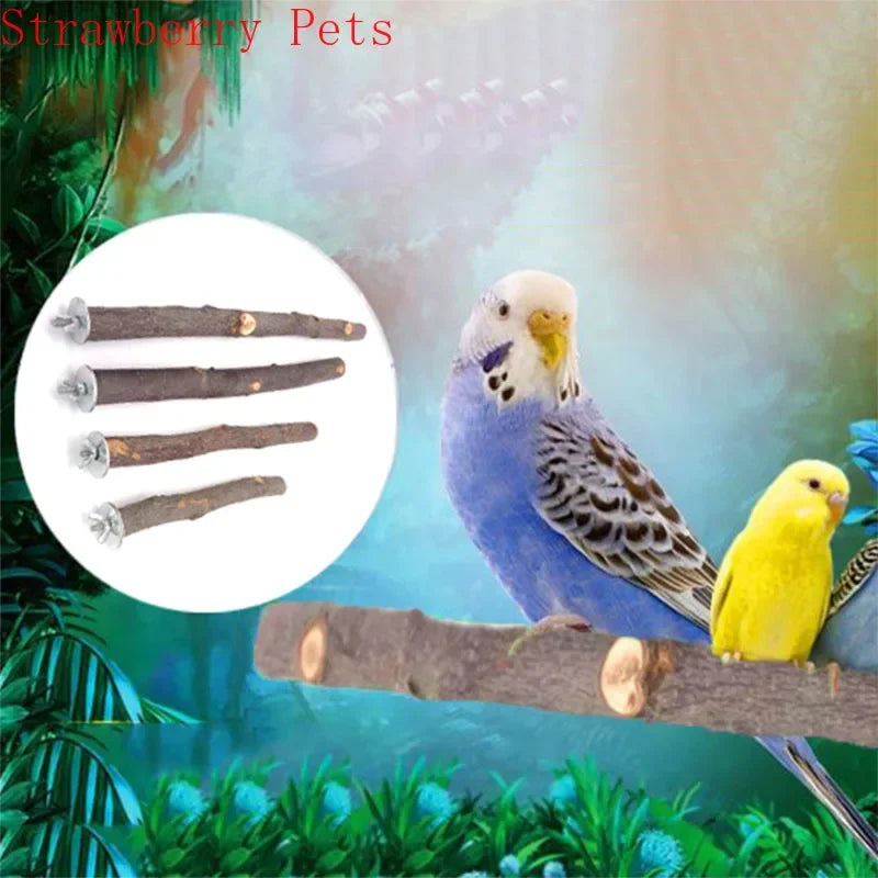 Un budgerigar azul posado en una rama de madera con varios perchas naturales visibles al fondo.