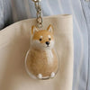 Pet Memorial Fur Keepsake Keychain Pendant