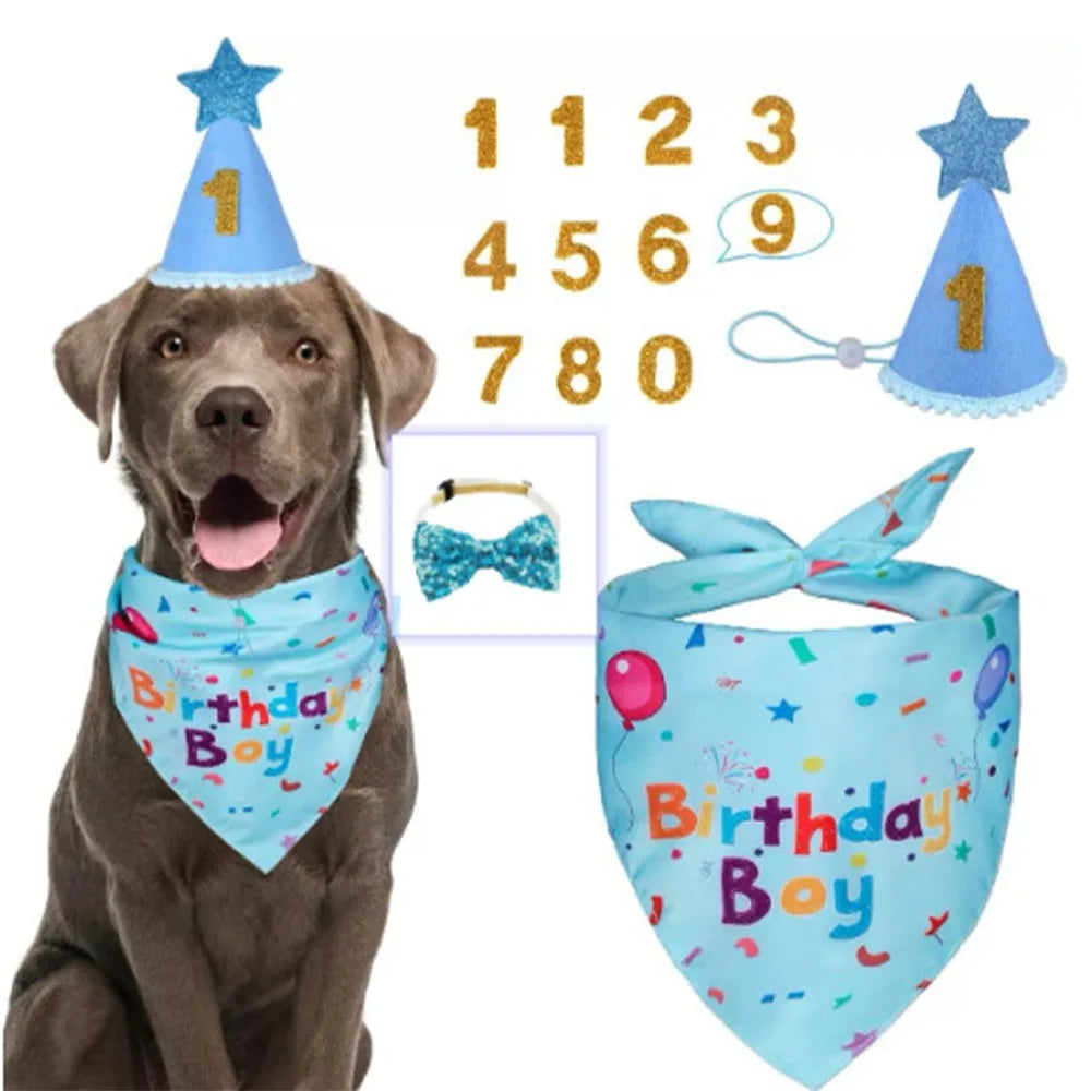 A brown dog wearing a blue birthday hat and bowtie set with sequins.