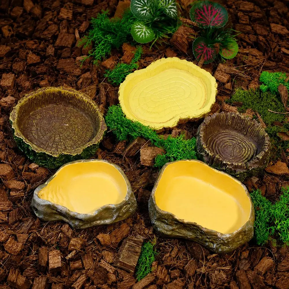 Reptile Feeding and Water Bowl with Natural Tree Stump Design