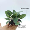 Artificial Aquarium Plant Decor - Turtle Tree Trunk Plastic