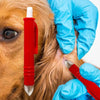 Kit de Extracción de Garrapatas para Mascotas