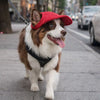 Breathable Pet Sun Hat with Ear Holes and Adjustable Strap