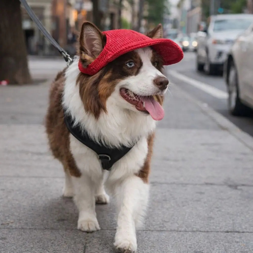 Breathable Pet Sun Hat with Ear Holes and Adjustable Strap