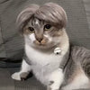 Pet Bob Wig – Funny Cat & Dog Costume Accessory