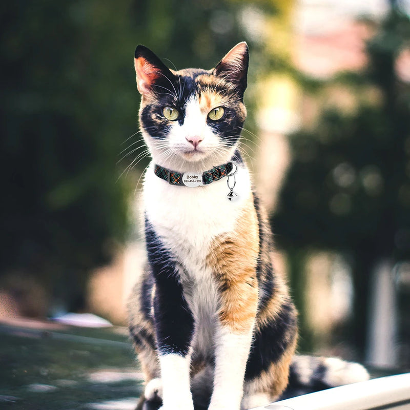 Personalisierte Katzenhalsband mit gedrucktem Design und graviertem ID-Anhänger