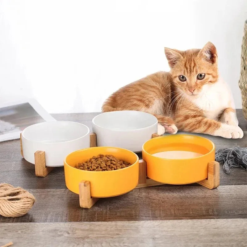 Elevated Ceramic Pet Bowl with Wooden Stand