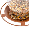 Automatic Bird Feeder with Nut Dispenser for Outdoor Hanging