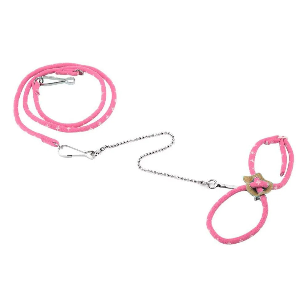 Adjustable Small Pet Harness with Anti-Bite Leash