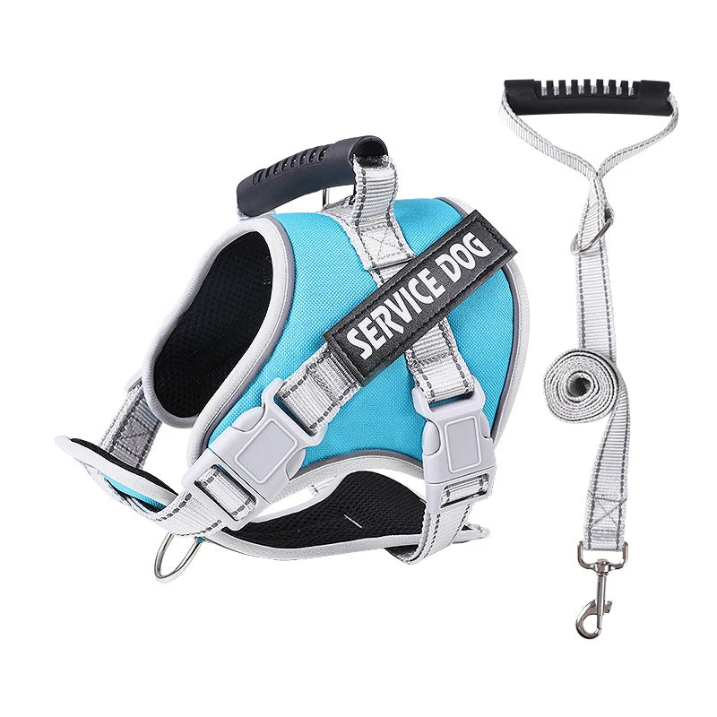 A light blue and gray reflective dog harness with a black handle and strap is shown.