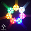 Collier de sécurité LED rechargeable par USB pour animaux