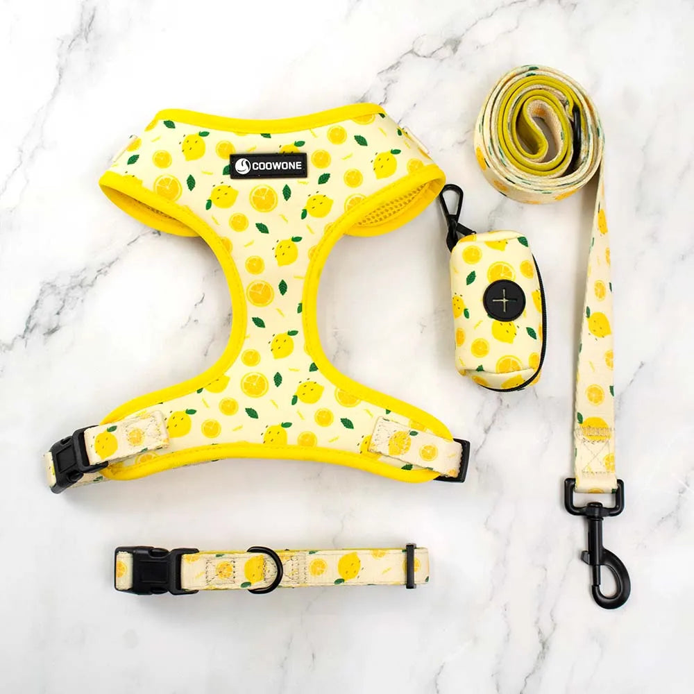 Yellow lemon print dog collar with black hardware and soft neoprene padding