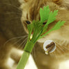 Interactive Catnip Chew Toy for Dental Health & Play
