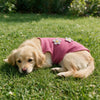 Floral Rose Waffle Vest for Small Dogs — Breathable Summer Top