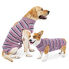 Breathable Dog Recovery Suit for Post-Surgery Protection