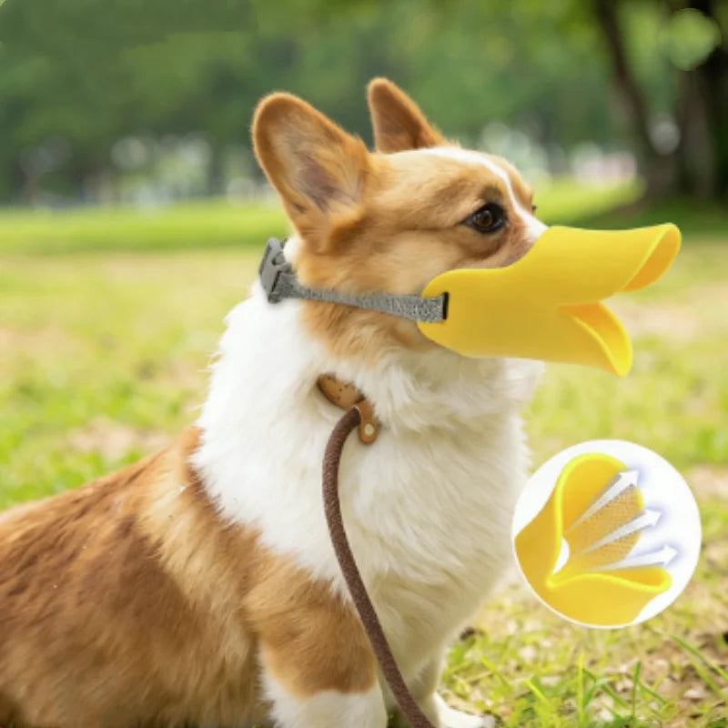 A light brown and white dog is wearing a yellow silicone muzzle for anti-bite and anti-bark protection.