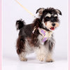 A small, fluffy dog wearing an adjustable plaid harness with a bow, standing against a white background.