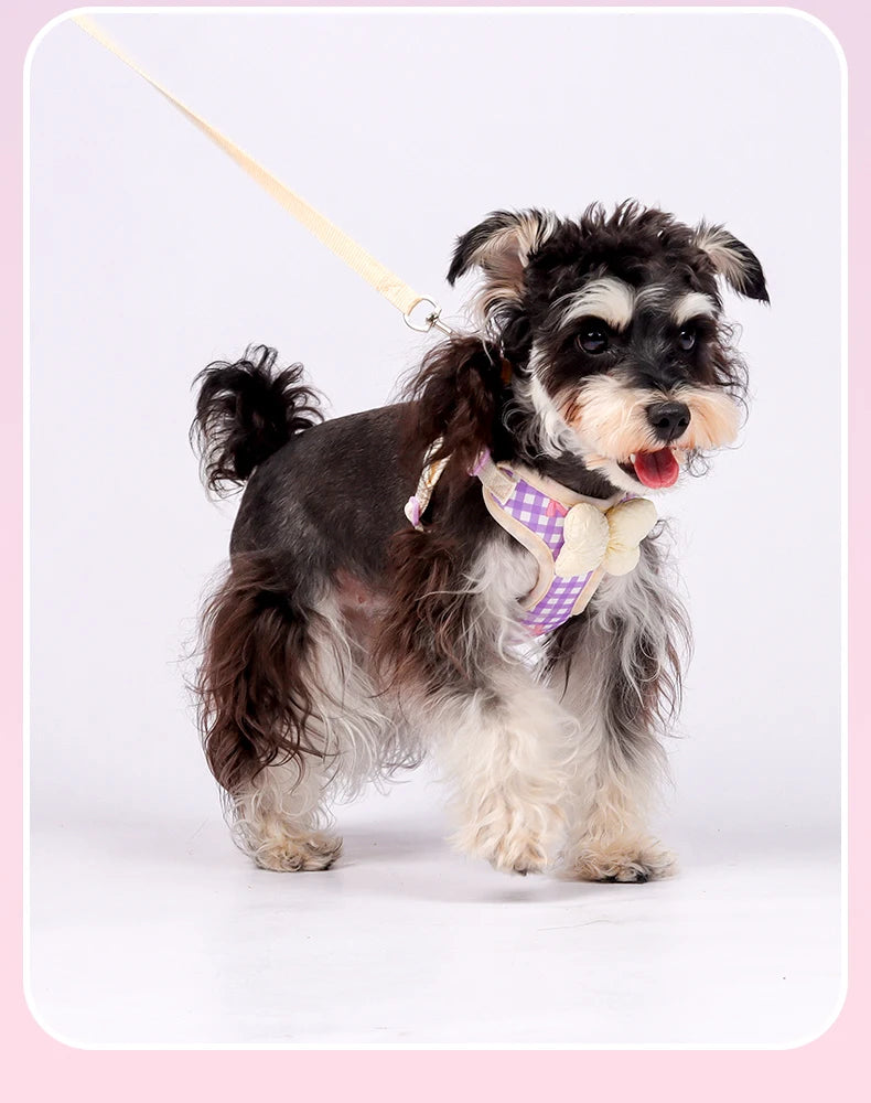 A small, fluffy dog wearing an adjustable plaid harness with a bow, standing against a white background.