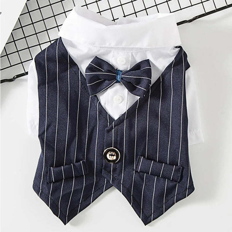 A navy blue pinstripe vest with a bow tie and white shirt displayed on a grid background.