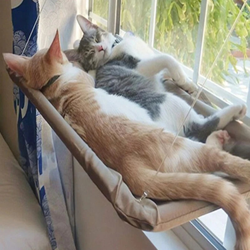 Un chat roux et blanc se détend dans un lit-hamac fixé à la fenêtre avec un autre chat à proximité.