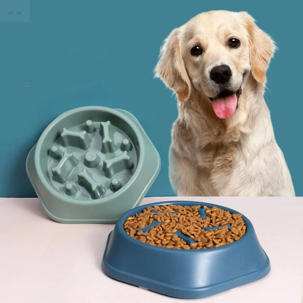 A golden retriever dog is looking at a blue slow feeder bowl filled with kibble.