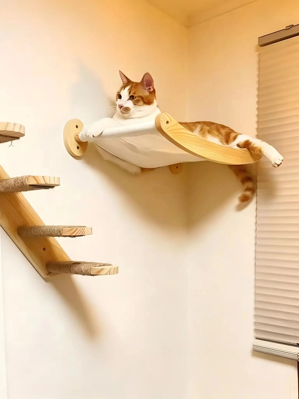 A tabby cat is relaxing in a wooden wall-mounted hammock and climbing shelf system.