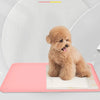 Dog Pad Holder Tray Silicone Pee Pad for Training