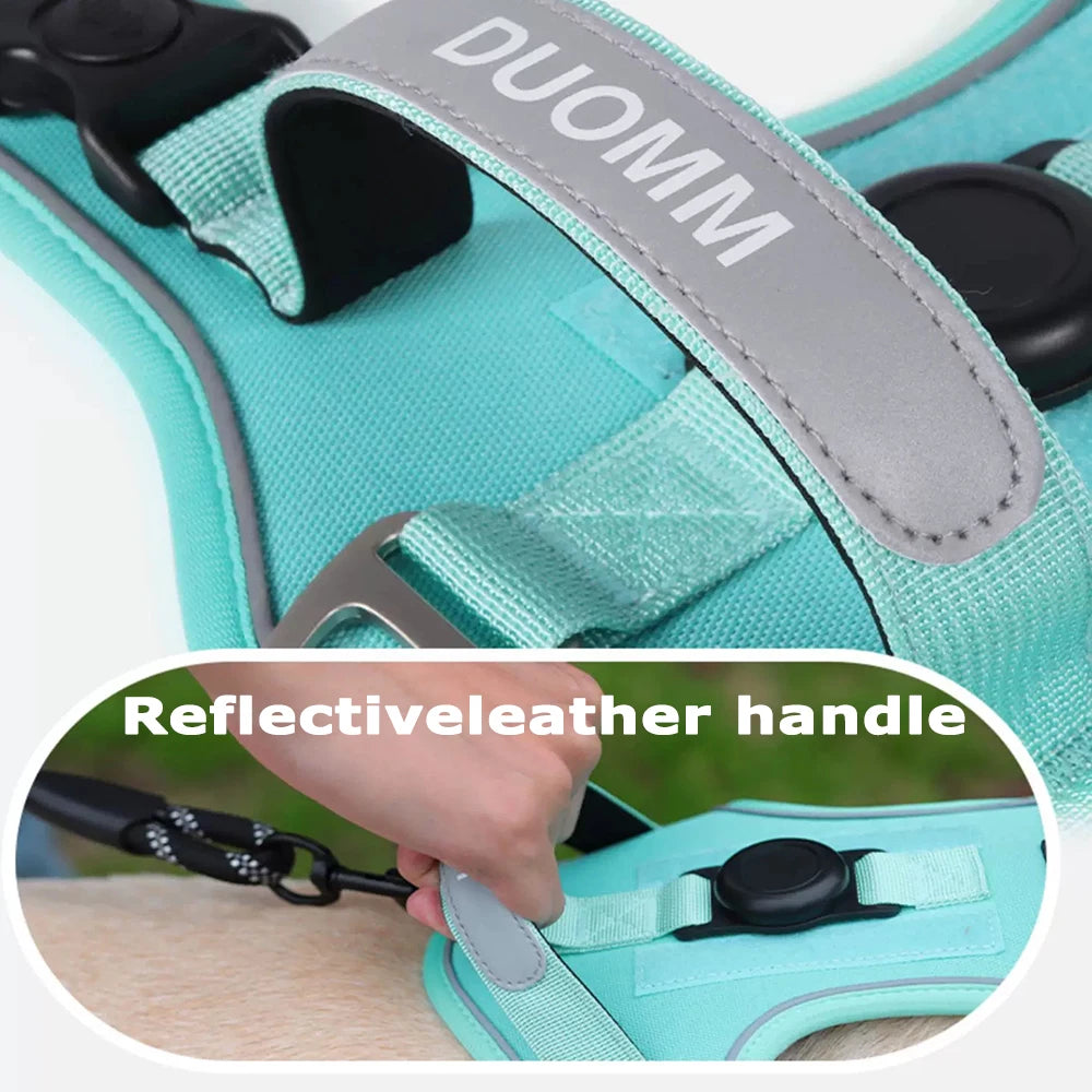 Close-up of a teal dog harness showing a reflective leather handle and strap detail.