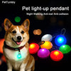 A dog wearing a light-up pendant collar, illuminating the night while walking.