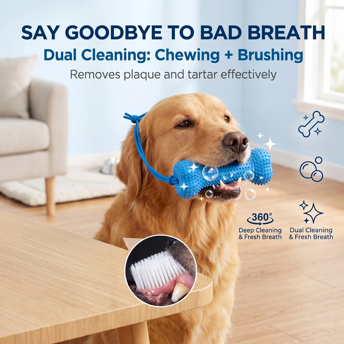A golden retriever is using a blue dental cleaning toy to remove plaque and tartar from its teeth.