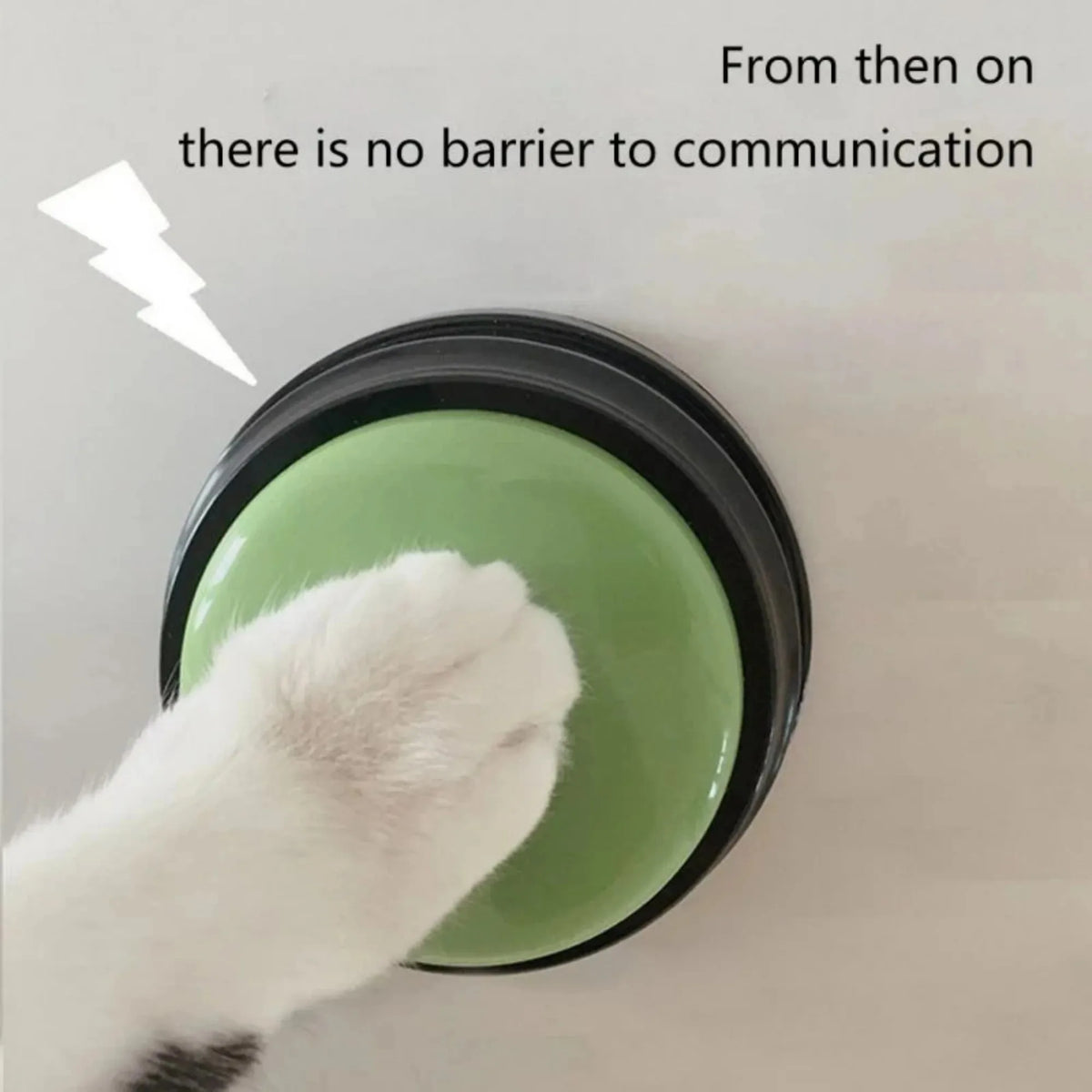 Recordable Pet Communication Button for Training and Play