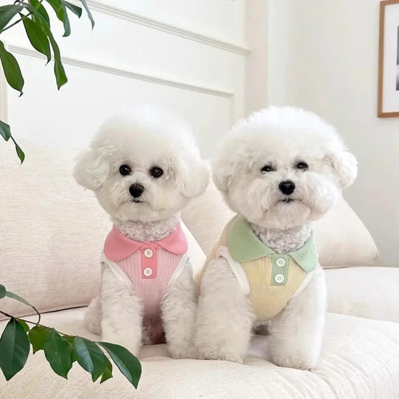Two fluffy white dogs wearing pink and light green cooling pet polo shirts sitting on a white sofa