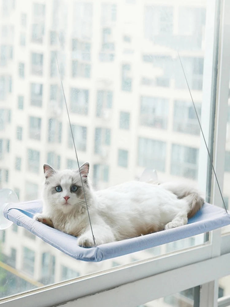 Un chat blanc se détend sur un lit hamac fixé à une fenêtre bleue, regardant par une grande fenêtre.