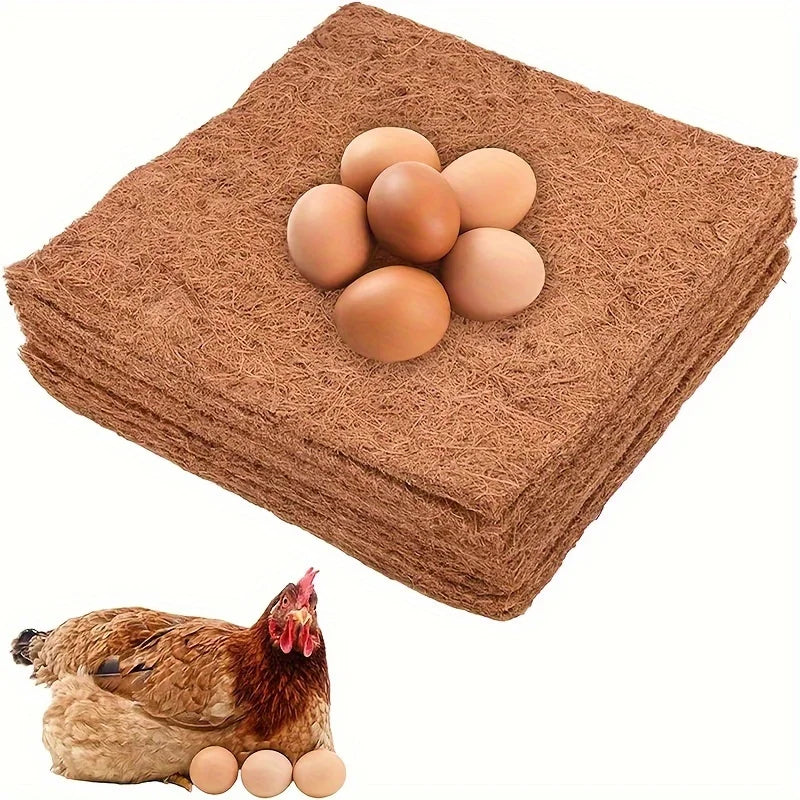Braune Kokosfasernetzpads mit mehreren braunen Hühnereiern darauf.