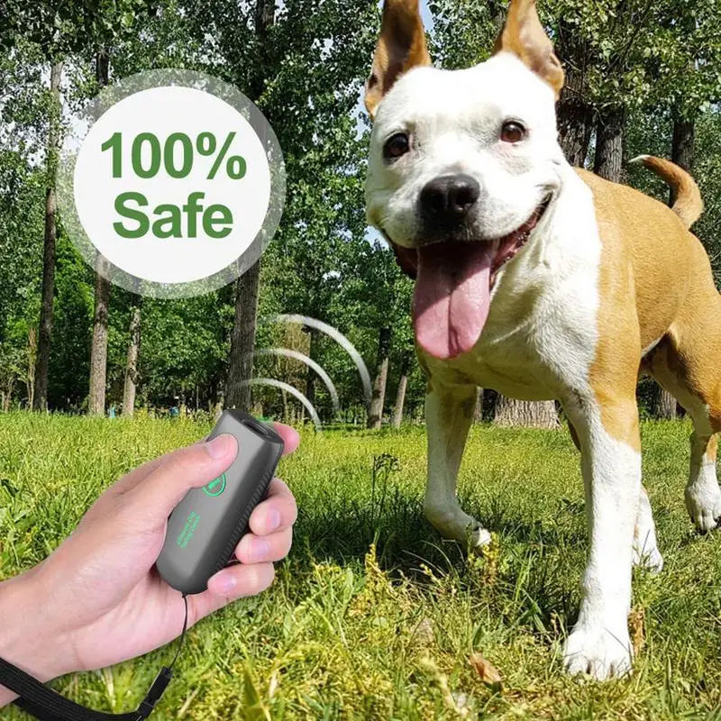 Ein weißer und brauner Hund steht neben einer Person, die ein Ultraschall-Hundbell hält, in einer grasbewachsenen Außenumgebu
